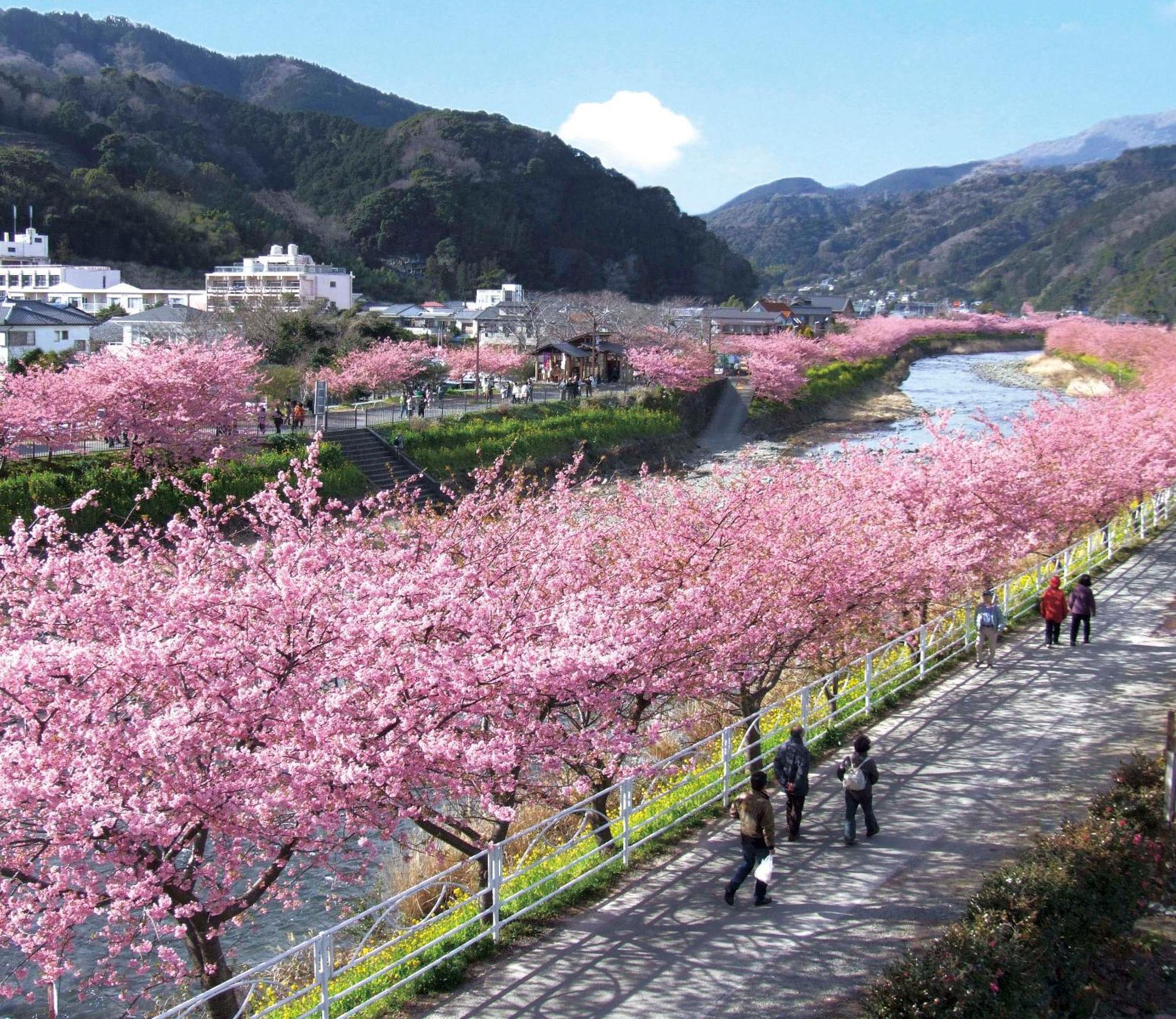 Shimoda Ocean Park Hotel Bagian luar foto